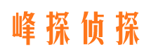 乡城市私家侦探